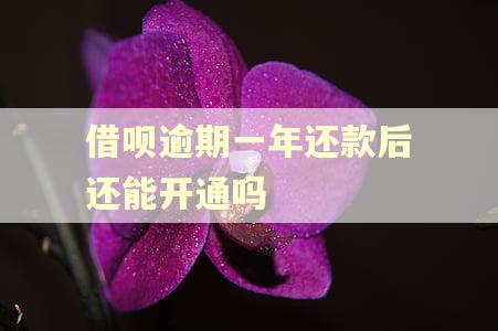 借呗逾期一年还款后还能开通吗
