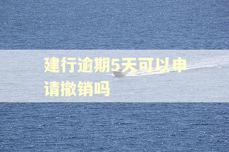 建行逾期5天可以申请撤销吗