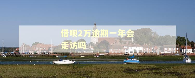 借呗2万逾期一年会走访吗