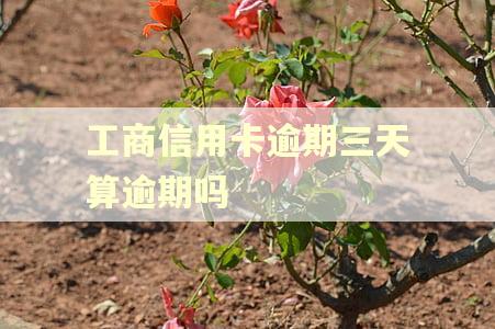 工商信用卡逾期三天算逾期吗