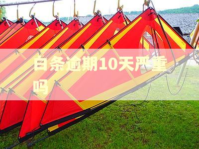 白条逾期10天严重吗