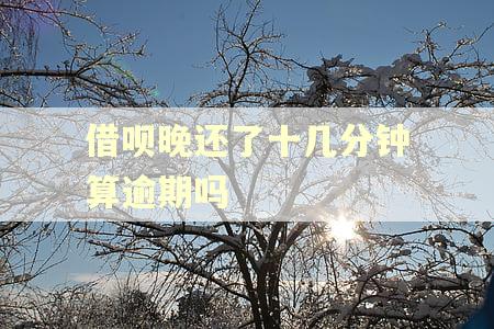 借呗晚还了十几分钟算逾期吗