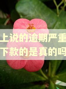 网上说的逾期严重也能下款的是真的吗