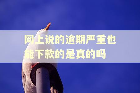 网上说的逾期严重也能下款的是真的吗