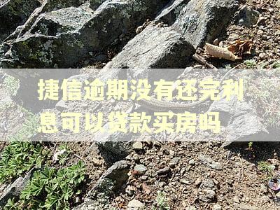 捷信逾期没有还完利息可以贷款买房吗