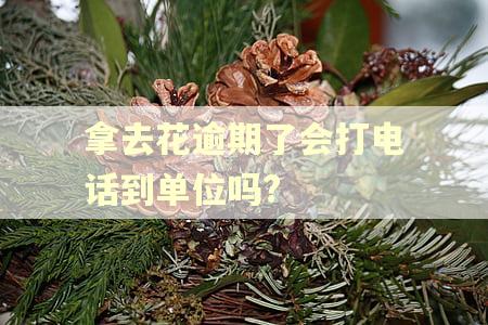 拿去花逾期了会打电话到单位吗? 拿去花逾期了会打电话到单位吗?