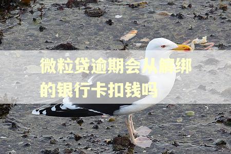 微粒贷逾期会从解绑的银行卡扣钱吗