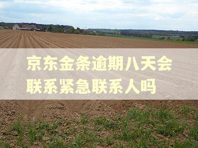 京东金条逾期八天会联系紧急联系人吗