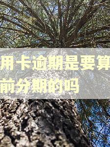 信用卡逾期是要算上之前分期的吗
