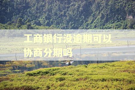 工商银行没逾期可以协商分期吗 工商银行没逾期可以协商分期吗