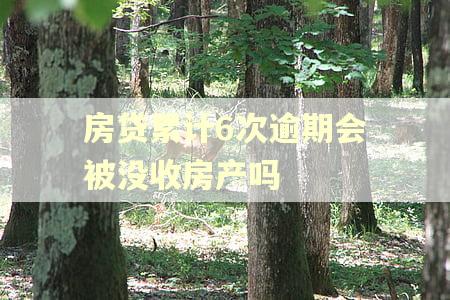 房贷累计6次逾期会被没收房产吗