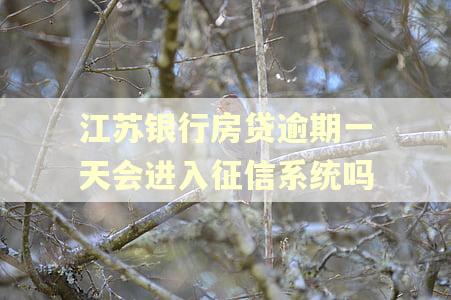 江苏银行房贷逾期一天会进入征信系统吗