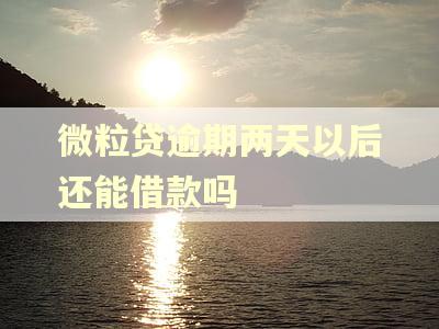 微粒贷逾期两天以后还能借款吗 微粒贷逾期两天以后还能借款吗