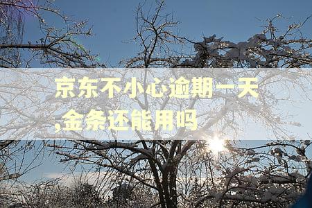 京东不小心逾期一天,金条还能用吗