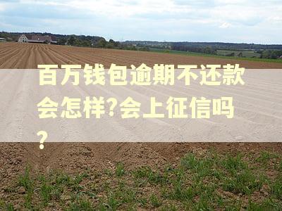 百万钱包逾期不还款会怎样?会上征信吗?