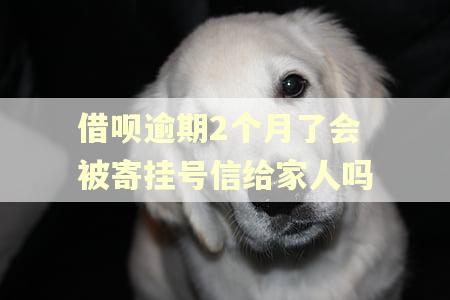 借呗逾期2个月了会被寄挂号信给家人吗