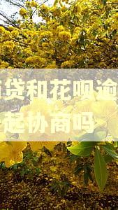 网商贷和花呗逾期可以一起协商吗