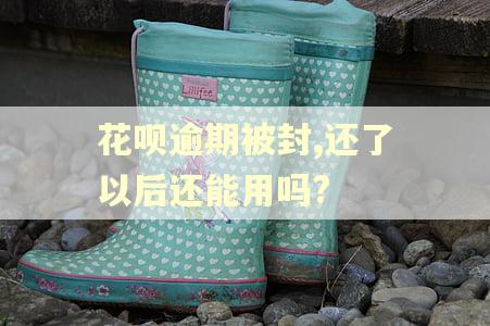 花呗逾期被封,还了以后还能用吗?