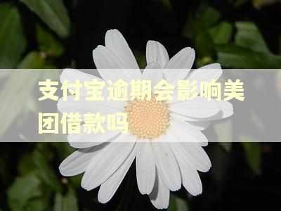 支付宝逾期会影响美团借款吗