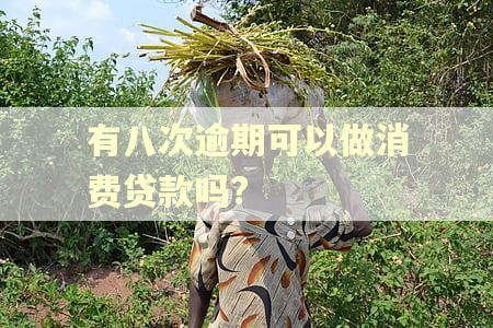 有八次逾期可以做消费贷款吗?