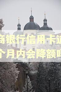 招商银行信用卡逾期一个月内会降额吗