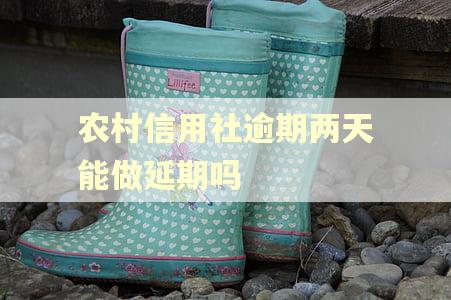 农村信用社逾期两天能做延期吗