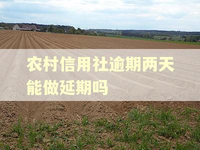 农村信用社逾期两天能做延期吗