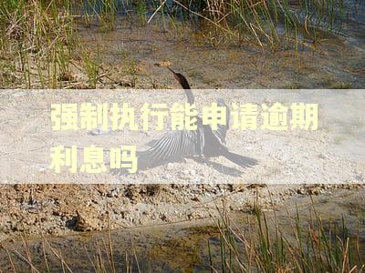 强制执行能申请逾期利息吗