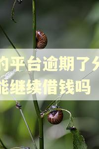 别的平台逾期了分期乐能继续借钱吗