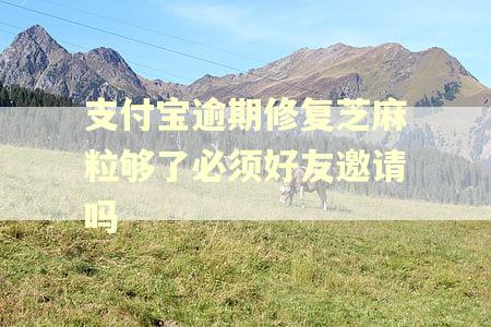 支付宝逾期修复芝麻粒够了必须好友邀请吗