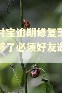支付宝逾期修复芝麻粒够了必须好友邀请吗