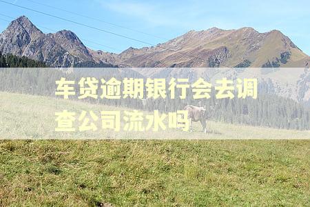 车贷逾期银行会去调查公司流水吗