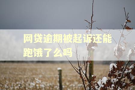 网贷逾期被起诉还能跑饿了么吗