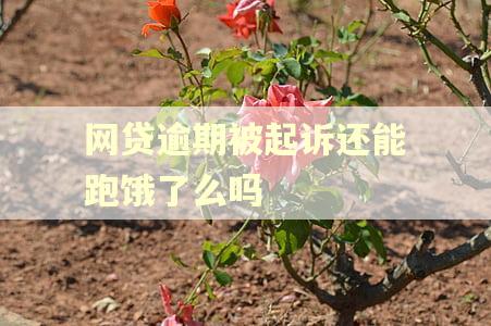 网贷逾期被起诉还能跑饿了么吗