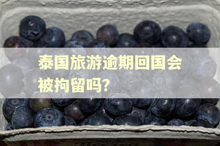 泰国旅游逾期回国会被拘留吗？