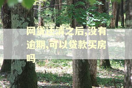 网贷还清之后,没有逾期,可以贷款买房吗