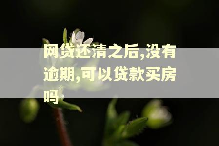 网贷还清之后,没有逾期,可以贷款买房吗