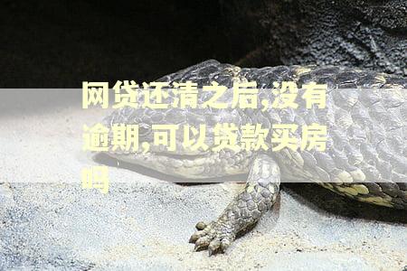 网贷还清之后,没有逾期,可以贷款买房吗