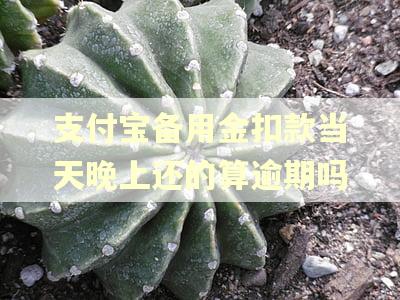 支付宝备用金扣款当天晚上还的算逾期吗