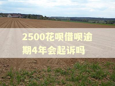 2500花呗借呗逾期4年会起诉吗