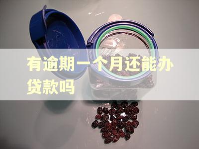 有逾期一个月还能办贷款吗