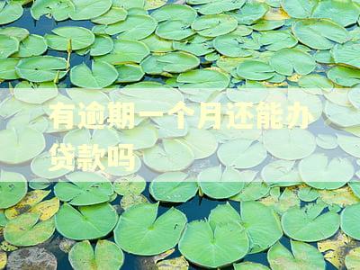 有逾期一个月还能办贷款吗