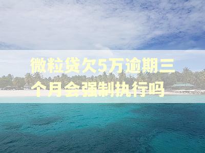 微粒贷欠5万逾期三个月会强制执行吗