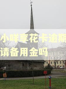 羊小咩享花卡逾期能申请备用金吗