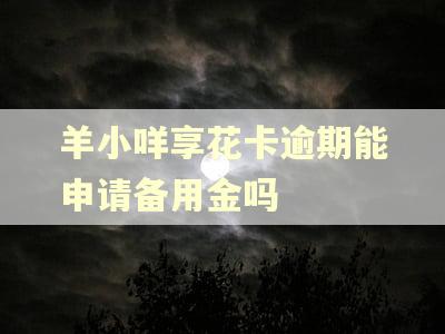 羊小咩享花卡逾期能申请备用金吗