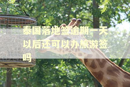 泰国落地签逾期一天以后还可以办旅游签吗