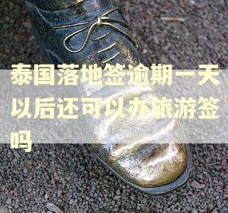 泰国落地签逾期一天以后还可以办旅游签吗