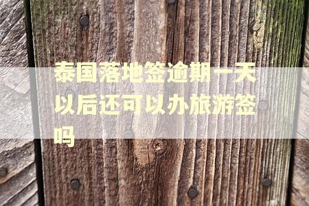 泰国落地签逾期一天以后还可以办旅游签吗