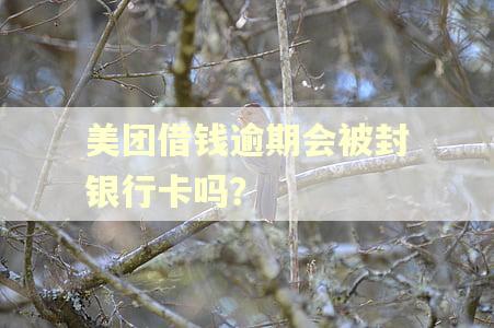 美团借钱逾期会被封银行卡吗？