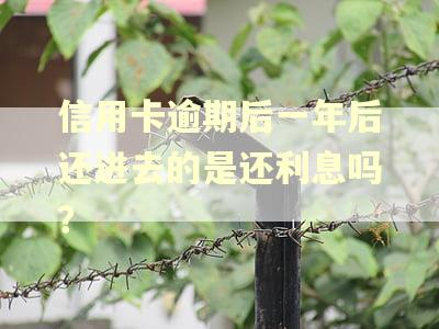 信用卡逾期后一年后还进去的是还利息吗？